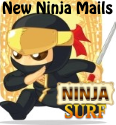 ninjasurf